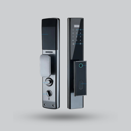 PNDA R10 Face Version Smart Lock