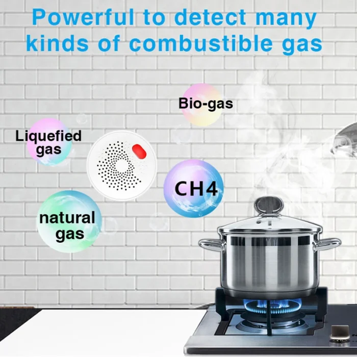 eMastiff WiFi/Zigbee Gas Leak Detector – Smart Home Safety in Egypt