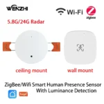 Ceiling-mounted Wi-Fi occultation sensor